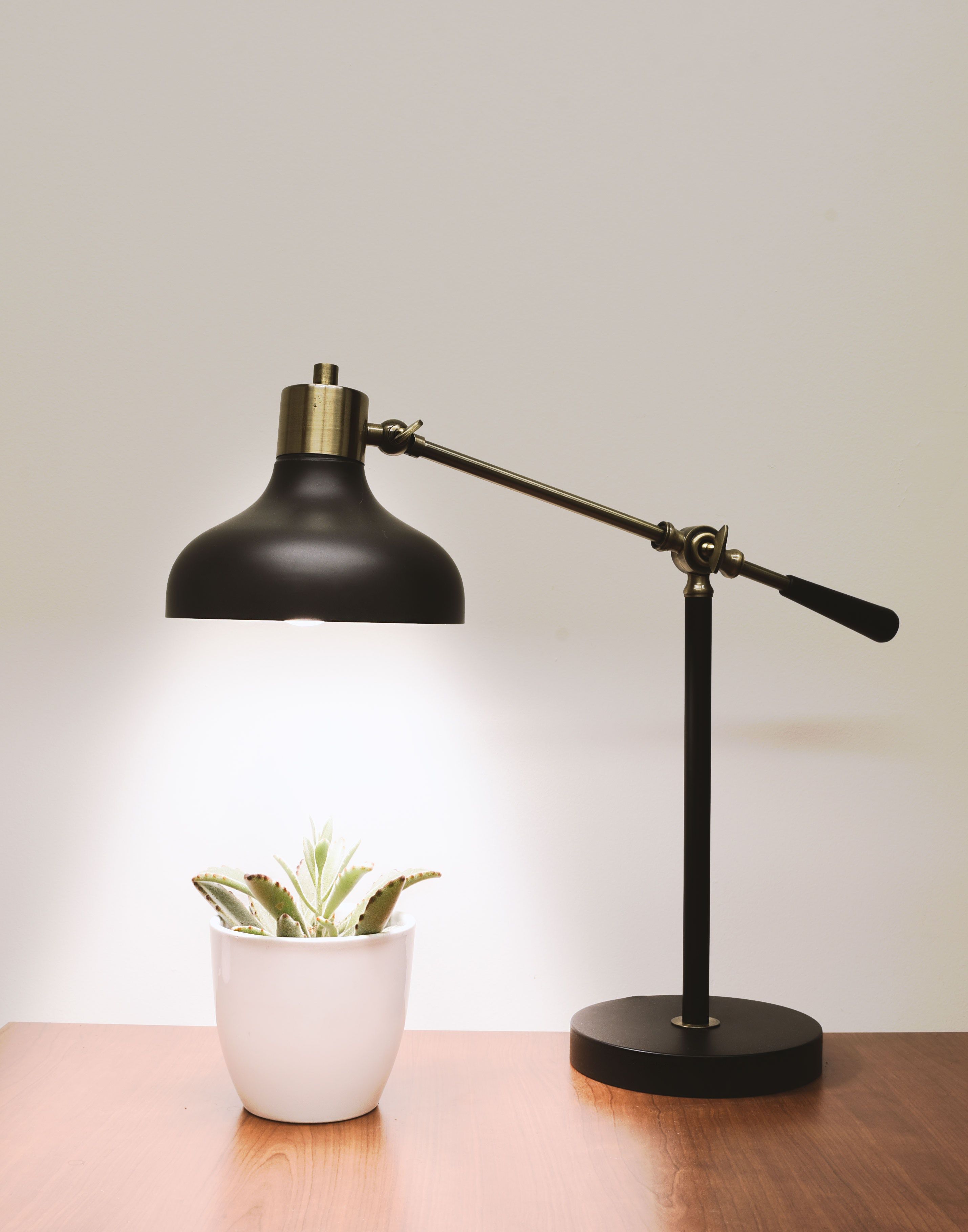 New light art for the plants on table